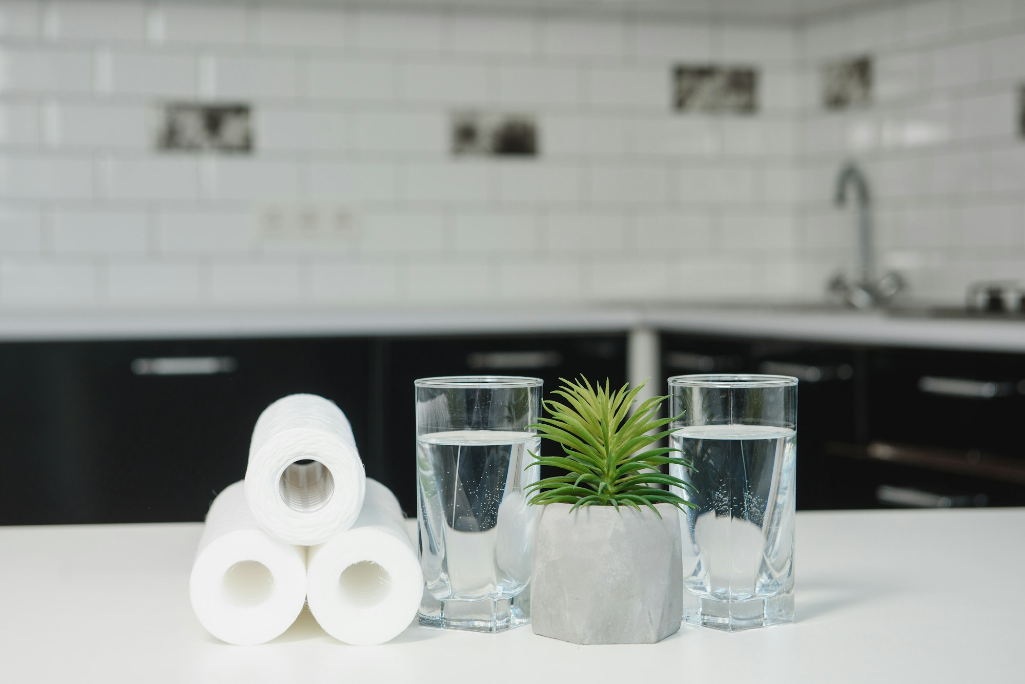 A glass of clean water with osmosis filter, green flowerpot and cartridges on white table